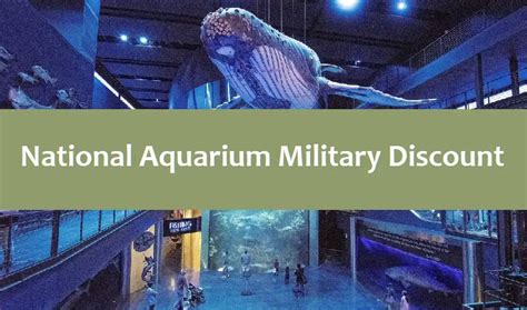 st louis aquarium military discount